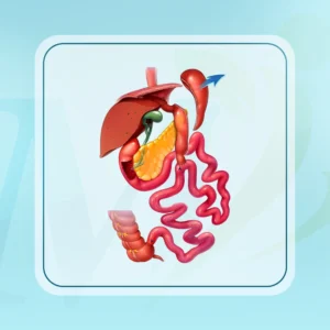 عملية الساسي